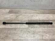 Gasdruckfeder Rechts Hinten 00008731H8 Citroën C2 (JM) Schrägheck 3-drs 1.1 (TU1JP(HFX))