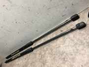 Gasdruckfeder Hinten 1747492 Ford Focus 3 Schrägheck 1.6 TDCi 115 (T1DB)