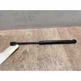 Gasdruckfeder Hinten 8200119497 Renault Megane II (LM) Limousine 1.9 dCi 120 (F9Q-800) 2004