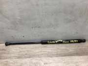 Gasdruckfeder Rechts Hinten 51778432 Fiat Grande Punto (199) Schrägheck 1.3 JTD Multijet 16V (199.A.2000)