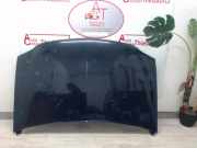 Motorhaube 6001546685 Dacia Logan MCV (KS) Kombi 1.5 dCi (K9K-892)