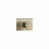 Scheibenwaschpumpe Vorne 3841070B20 Suzuki Swift (ZA/ZC/ZD1/2/3/9) Schrägheck 1.3 D 16V (D13A) 2008