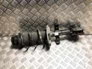 Federbein Links Vorne 543026739R Renault Clio V (RJAB)