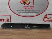 Zierleiste T?r Links Hinten Fiat Doblo Cargo (263) Van 1.3 D Multijet (263.A.2000)