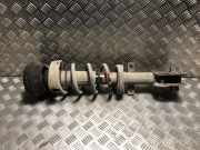 Federbein Links Vorne 543025946R Renault Trafic (1FL/2FL/3FL/4FL) Van 1.6 dCi 95 (R9M-413)