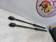 Gasdruckfeder Hinten 8731J3 Peugeot 1007 (KM) Schrägheck 1.6 HDiF 16V (DV6TED4(9HZ))