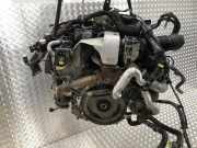 Motor Audi A8 (D3) Limousine 3.0 TDI V6 24V Quattro (ASB)