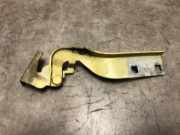 Motorhaubescharnier Fiat Ducato (250) Van 2.3 D 120 Multijet (F1AE0481D)