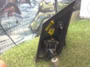 Außenspiegel Rechts 1510871 Ford Focus 2 Schrägheck 1.6 TDCi 16V 110 (G8DA)