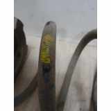 Schraubenfeder Hinten 51793551 Fiat Panda (169) Schrägheck 1.3 JTD 16V Multijet (188.A.8000) 2004