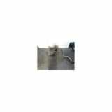 Tank Chrysler Stratus (JA/JX) Limousine 2.0 16V (C00) 1998