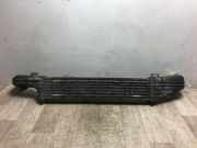 Ladeluftkühler 2105002000 Mercedes-Benz E (W210) Limousine 2.2 E-200 CDI 16V (OM611.961)