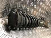 Federbein Rechts Vorne 1643205213 Mercedes-Benz ML II (164/4JG) SUV 3.0 ML-280 CDI 4-Matic V6 24V (OM642.940)