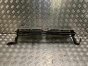 Grill Citroën BX 1.1 -> 1.6 Schrägheck 16 E (XU5M(BDZ))