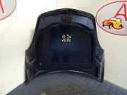 Motorhaube 0009672V008000000 Smart Roadster (452.4) Cabrio 0.7 Turbo (M160.922)