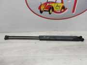 Gasdruckfeder Vorne Renault Vel Satis (BJ) Gro?raumlimousine 2.0 dCi 16V 150 FAP (M9R-760)