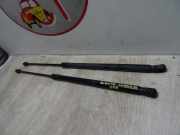 Gasdruckfeder Hinten 13182537 Opel Corsa D Schrägheck 1.2 16V (Z12XEP)