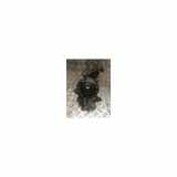 Achsschenkel Links Vorne 5WA407255 Volkswagen Golf VII (AUA) Schrägheck 2.0 TDI 4Motion 16V (CKFC) 2015 CKFC