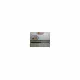 Gasdruckfeder Hinten 689600D012 Toyota Yaris II (P9) Schrägheck 1.4 D-4D (1NDTV) 2008