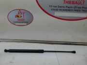 Gasdruckfeder Hinten 00008731T9 Citroën C3 (SC) Schrägheck 5-drs 1.4 HDi (DV4C(8HR))