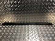 Zierleiste Tür Links Vorne ZW491XRAA Chrysler Voyager/Grand Voyager (RT) Großraumlimousine 2.8 CRD 16V Grand Voyager (VM64C)