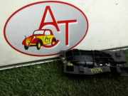 Türgriff Innen Links Hinten Peugeot 207/207+ (WA/WC/WM)