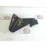 Türscharnier ACHTERDEUR RECHTS Renault Trafic New (JL) Bus 2.5 dCi 16V 135 (G9U-730) 2004