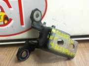 T?rscharnier ACHTERDEUR RECHTS 844003908R Renault MEGANE 3 PHASE 1