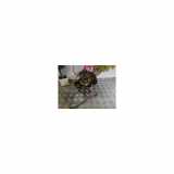 Achsschenkel Links Vorne 364693 Peugeot Expert Tepee (G9) Großraumlimousine 1.6 HDi 16V 90 (DV6UTED4(9HU)) 2012