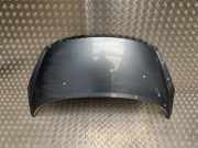 Motorhaube 7901N2 Peugeot 207 CC (WB) Cabrio 1.6 16V (EP6(5FW))