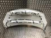 Motorhaube 00007901R1 DS DS 3 (SA) Schr?gheck 1.6 Blue Hdi 100 (DV6FD(BHY)) DV6FD(BHY)