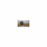 Achsschenkel Rechts Vorne 8200881829 Dacia Duster (SR) SUV 1.2 TCE 16V 4x4 (H5F-410(H5F-F4)) 2018
