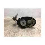 Antenne 00006561QQ Citroën C5 III Tourer (RW) Kombi 1.6 HDi 16V 115 (DV6C(9HD)) 2011