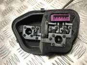 Kennzeichenbeleuchtung LINKS Renault Megane III Berline (BZ) Schrägheck 5-drs 1.5 dCi 105 (K9K-832(K9K-G8))