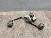 Kennzeichenbeleuchtung RECHTS Hyundai Trajet Großraumlimousine 2.0 CRDi 16V (D4EA)