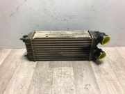 Ladeluftkühler 0384N9 Peugeot Partner (GC/GF/GG/GJ/GK) Van 1.6 HDI 90 (DV6DTED(9HF))