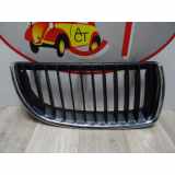 Grill Zierliste Rechts Vorne 51137120008 BMW 3 serie (E90) Limousine 320i 16V (N46-B20A) 2005