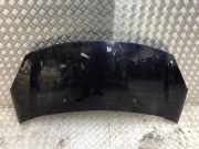 Motorhaube 00007901R1 Citroën C3 (SC) Schrägheck 5-drs 1.4 HDi (DV4C(8HR))