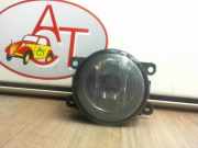 Nebelscheinwerfer Rechts Vorne 8200074008 Renault Scénic II (JM) Großraumlimousine 1.9 dCi 120 (F9Q-812)