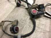 Pdc Sensor Set 2205580 Ford Fiesta 7 Schrägheck 1.5 TDCi 85 (XUJM)
