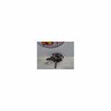 Achsschenkel Rechts Vorne 8200755590 Renault Kangoo Express (FW) Van 1.5 dCi 70 (K9K-840) 2008