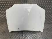 Motorhaube 1098820 Ford Courier (J3/5) Van 1.8 D (RTJ)