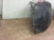 Innenkotfl?gel Rechts Vorne 7700432025 Renault Sc?nic I (JA) -> 1999, Zie MEGANE Gro?raumlimousine 1.9 dCi (F9Q-732)