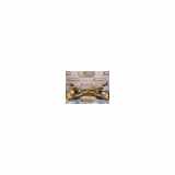 Unterrahme Hinten G25Y26251A Mazda 6 Sport (GG14) Schrägheck 1.8i 16V (L813) 2003