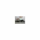 Türscharniere Links Vorne Renault Clio III (BR/CR) Schrägheck 1.6 16V (K4M-800) 2007