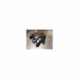 Sicherheitsgurt Links Hinten Renault Laguna III (BT) Schrägheck 5-drs 1.5 dCi 110 (K9K-780) 2014
