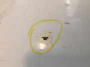 Motorhaube 95164301 Daewoo / Chevrolet Aveo (250) Schr?gheck 1.2 16V (B12D1)