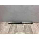 Gasdruckfeder Vorne BMW 1 serie (E81) Schrägheck 3-drs 118d 16V (N47-D20A) 2008