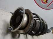 Federbein Links Vorne 31316786021 BMW 1 serie Coupé (E82) Coupé 118d 16V (N47-D20C)