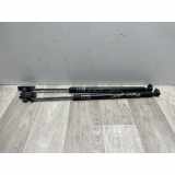Gasdruckfeder Vorne 57259FG000 Subaru Impreza III (GH/GR) Schrägheck 5-drs 2.0D AWD (EE20) 2011